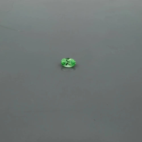 0.34ct Oval Natural Garnet (Colour Green, Clarity Slightly Included, Cut Faceted)